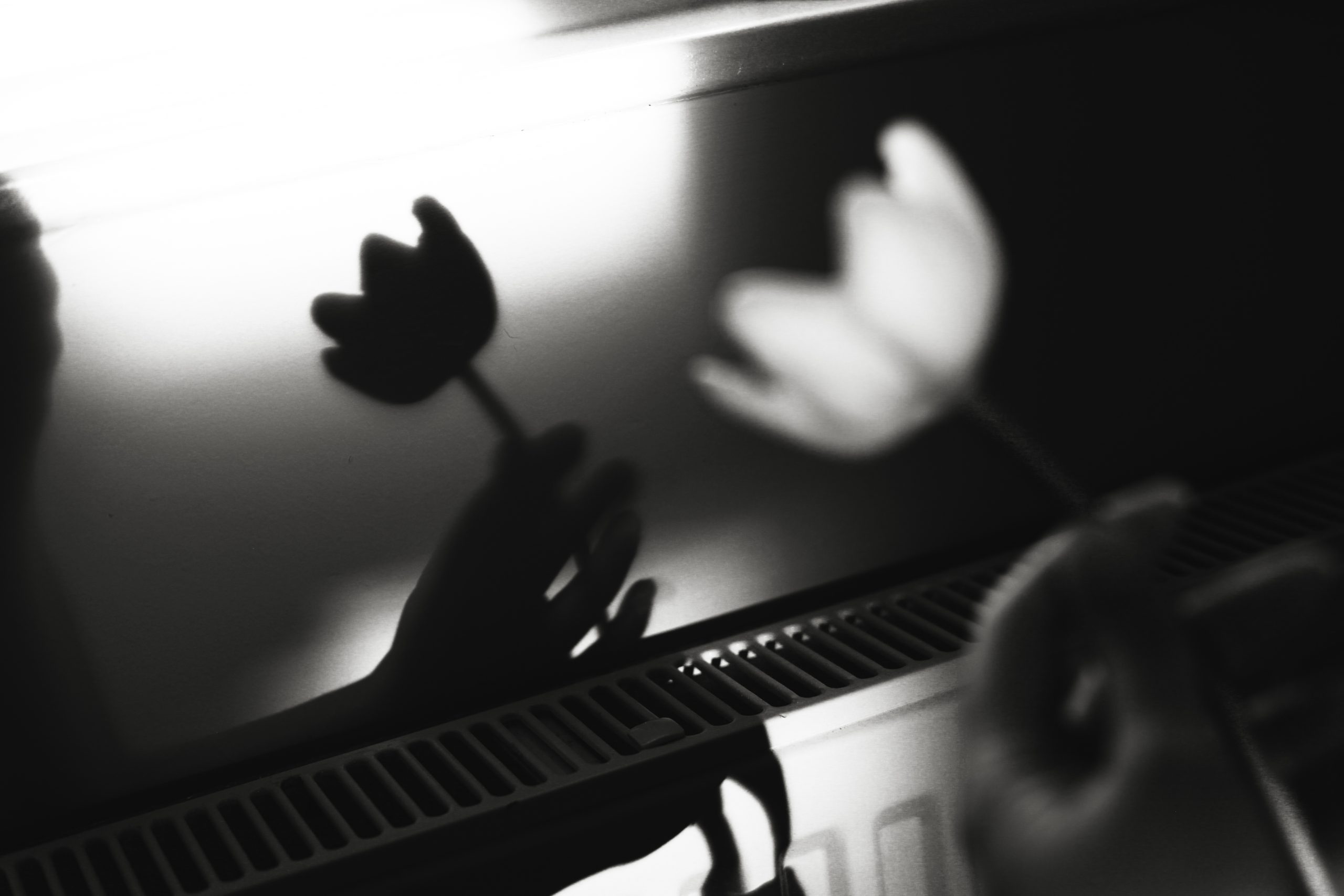 A black and white image of a hand holding a flower that casts a shadow on the wall creating a contrast between light and darkness